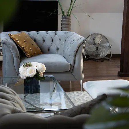 Glamour Ordona 5 * Nový Štětín